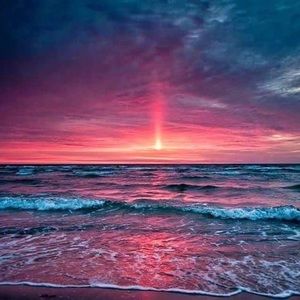 Meet your Posher, Patti